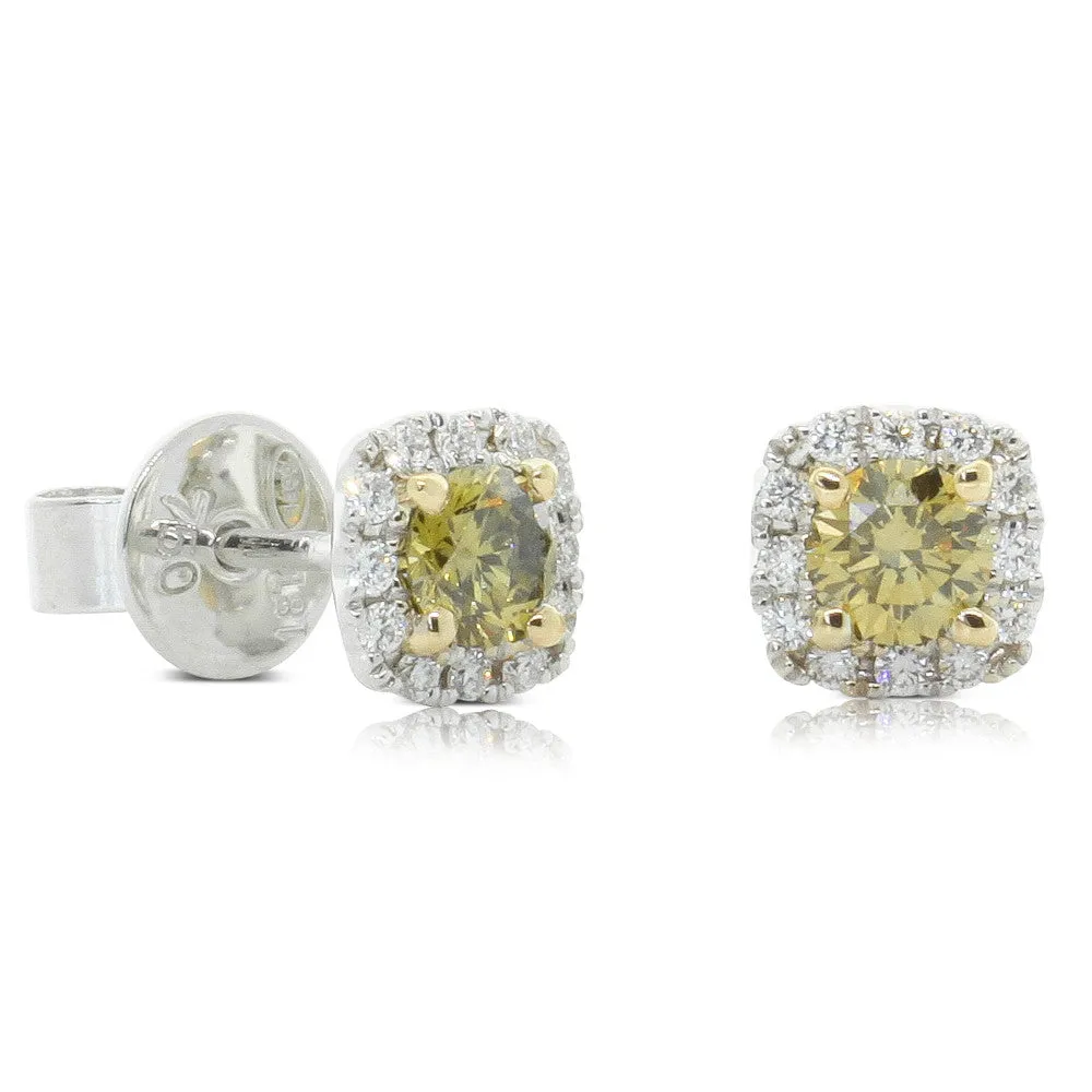 18ct White Gold Yellow Diamond Stud Earrings